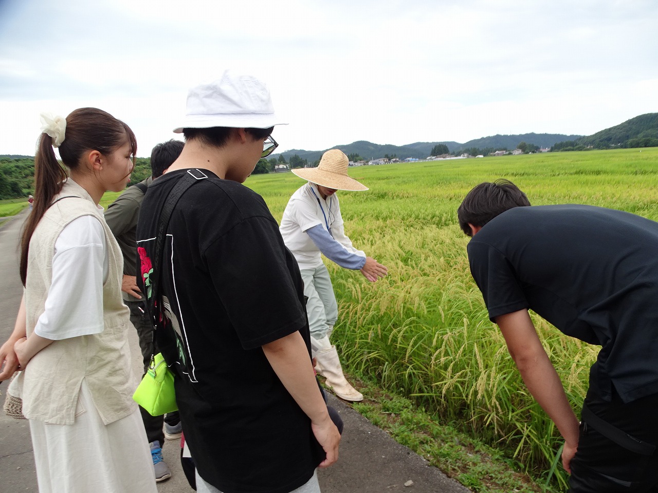 農業試験場の研究員の説明を受ける研修生